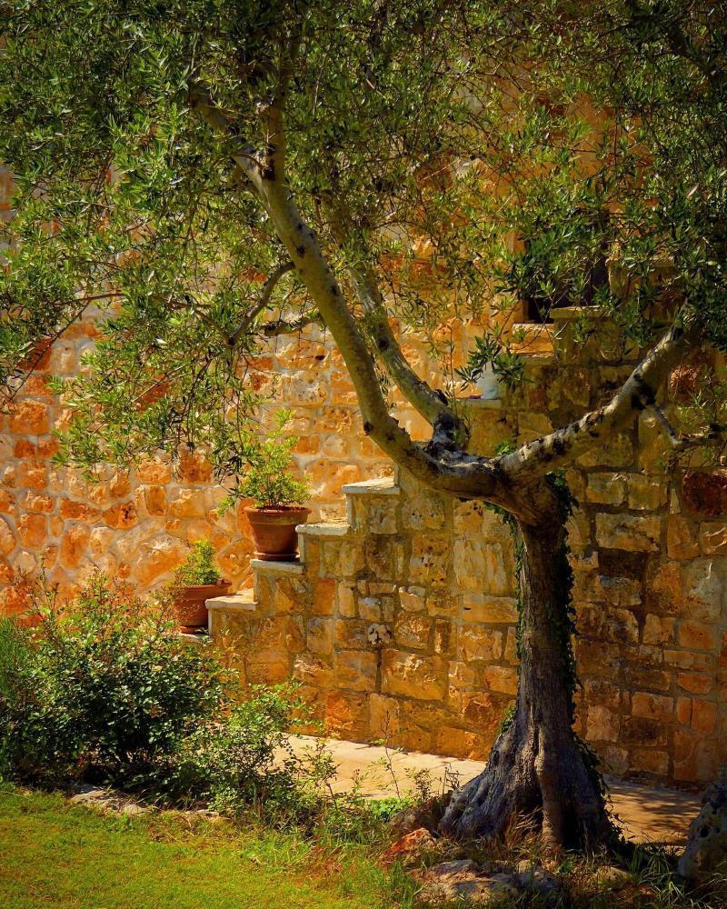 Fontana Vecchia B&B Castellana Grotte Ngoại thất bức ảnh